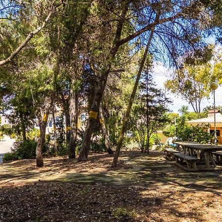 Apartamentos Bosque Sao Jose อัลบูเฟรา ภายนอก รูปภาพ